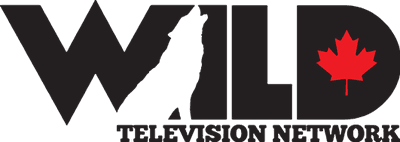 WildTV